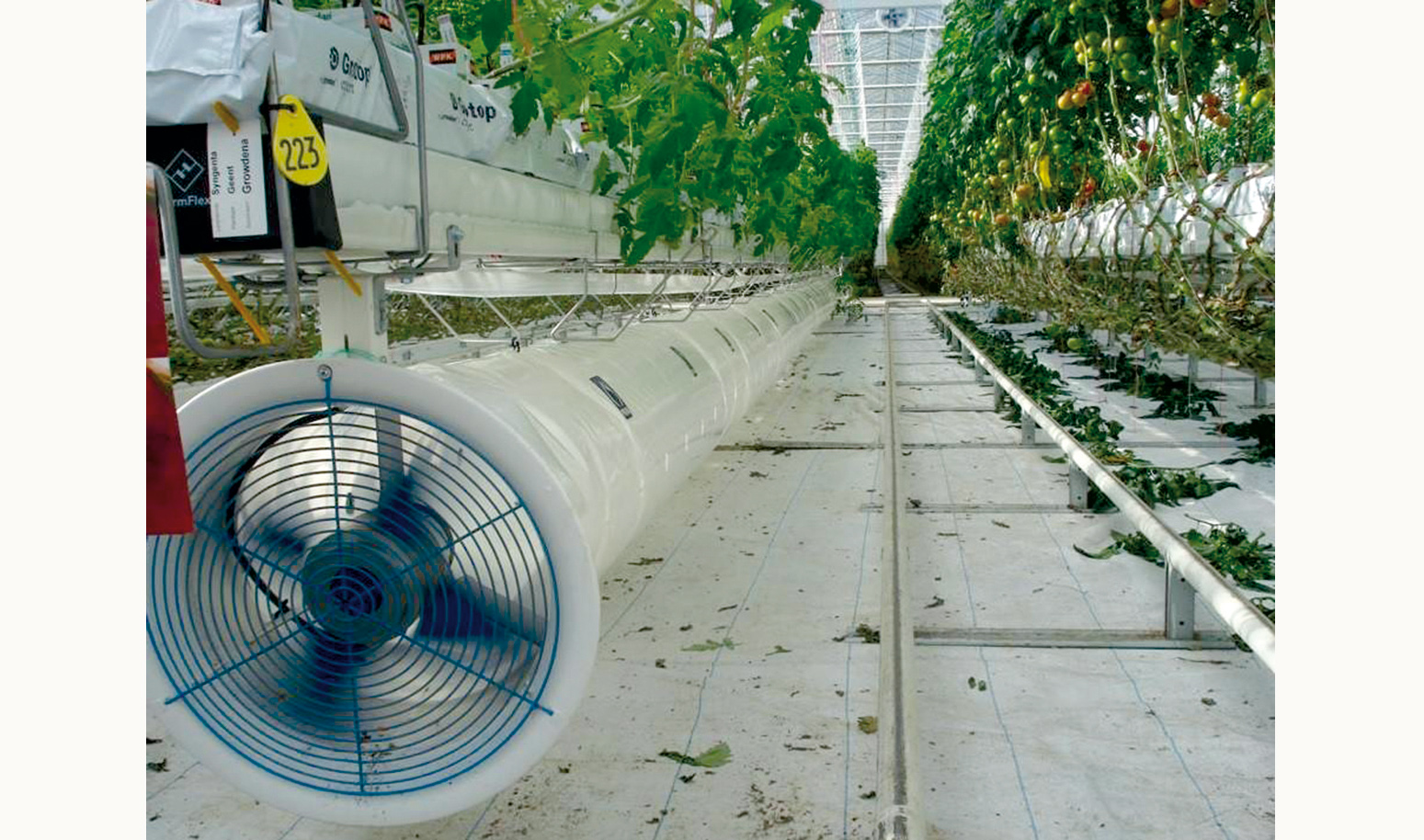 Η πράσινη ανάπτυξη μέσω των θερμοκηπίων ΜED Greenhouses