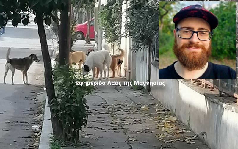 Αδέσποτα στους δρόμους μας: ρεαλιστικές λύσεις για μια ασφαλέστερη πόλη – Γράφει ο Χαράλαμπος Ιγγλέζος
