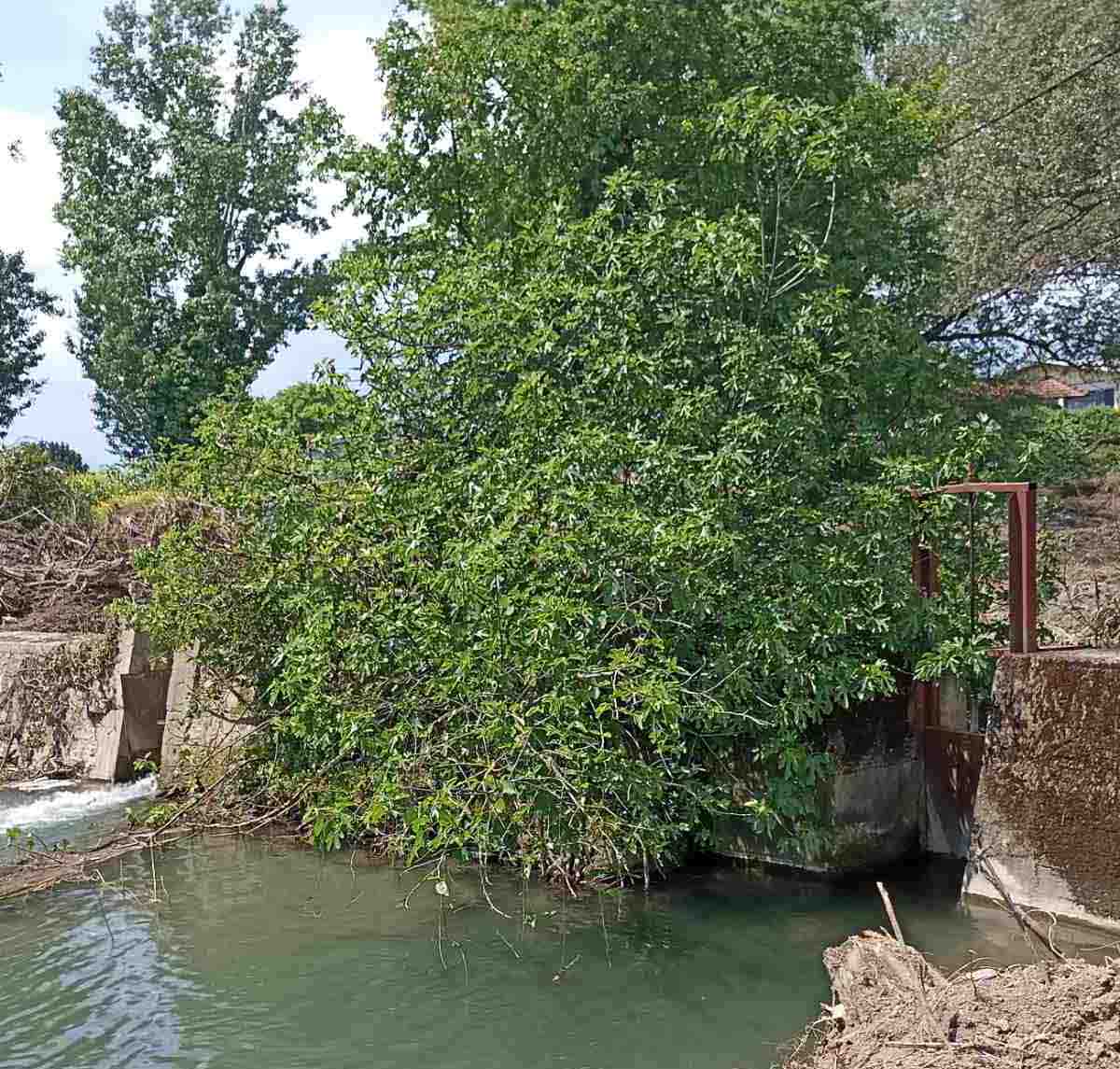 Ο Δήμος Τρικκαίων ολοκλήρωσε αντιπλημμυρικό έργo καθαρίζοντας την παλιά κοίτη του Ληθαίου