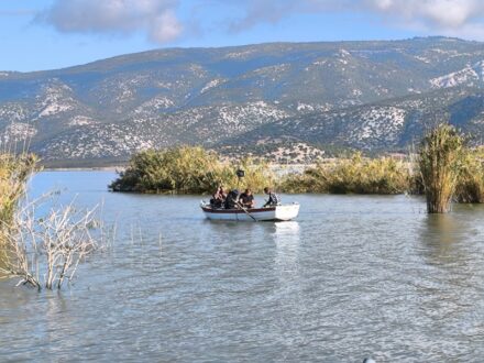 Πρώτο BioBlitz στην Κάρλα: δράση καταγραφής της βιοποικιλότητας της λίμνης