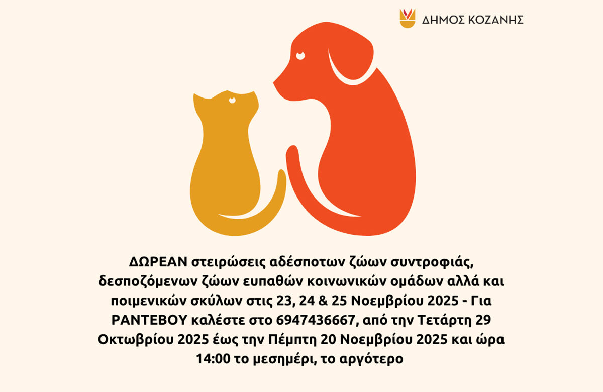 Δήμος Κοζάνης: ΔΩΡΕΑΝ στειρώσεις αδέσποτων ζώων συντροφιάς, δεσποζόμενων ζώων ευπαθών κοινωνικών ομάδων αλλά και ποιμενικών σκύλων – Οι ημερομηνίες