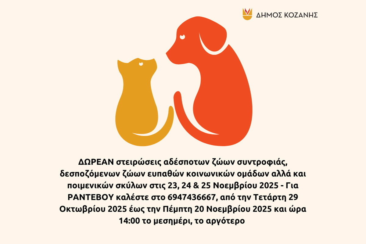 Δήμος Κοζάνης: ΔΩΡΕΑΝ στειρώσεις αδέσποτων ζώων συντροφιάς, δεσποζόμενων ζώων ευπαθών κοινωνικών ομάδων αλλά και ποιμενικών σκύλων – Οι ημερομηνίες