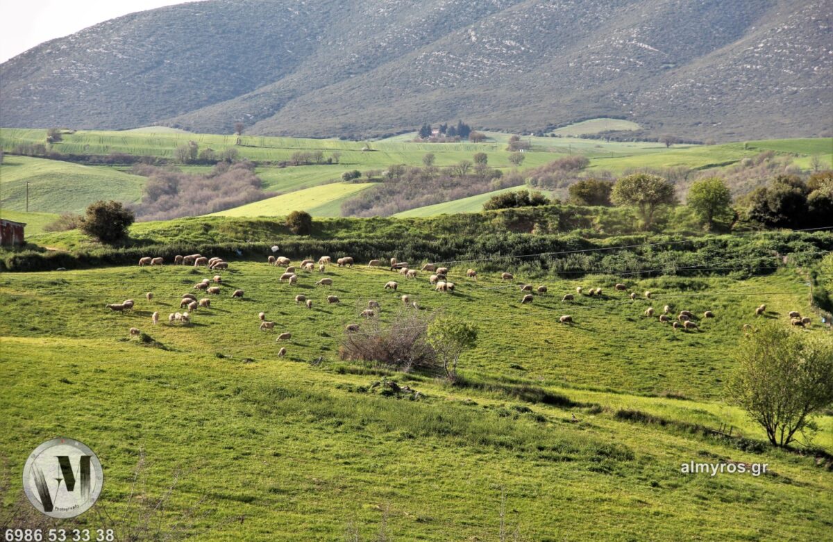 Ενίσχυση του κτηνιατρικού μηχανισμού με 49 προσλήψεις για την αντιμετώπιση της ευλογιάς