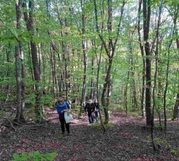 Οι όμορφες φωτογραφίες αποτύπωσαν τη φυσική ομορφιά της Κερασιάς