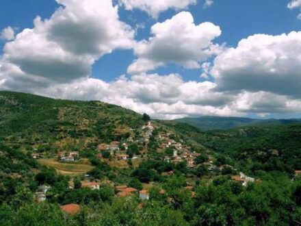 Δήμος Ρήγα Φεραίου: Προτεραιότητα η δημιουργία αντιπυρικών ζωνών περιμετρικά των οικισμών