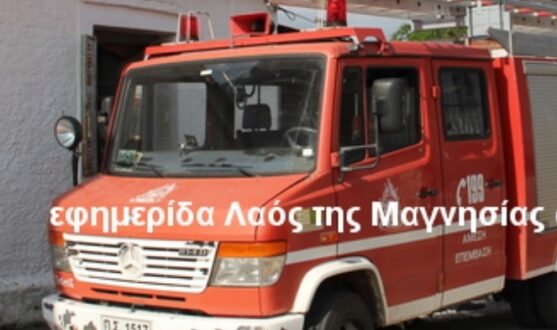 Πυρκαγιά σε μανάβικο στο Βελεστίνο περιορίστηκε χάρη στην άμεση επέμβαση