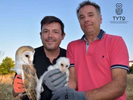 Ρήγας Φεραίος: Νέο υψηλό για την Τυτώ – στο 59% η χρήση των φωλιών του προγράμματος για την καταπολέμηση τρωκτικών